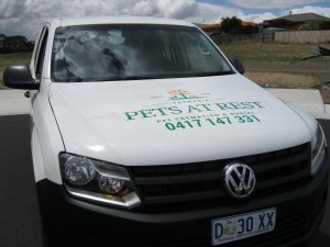 amarok bonnet